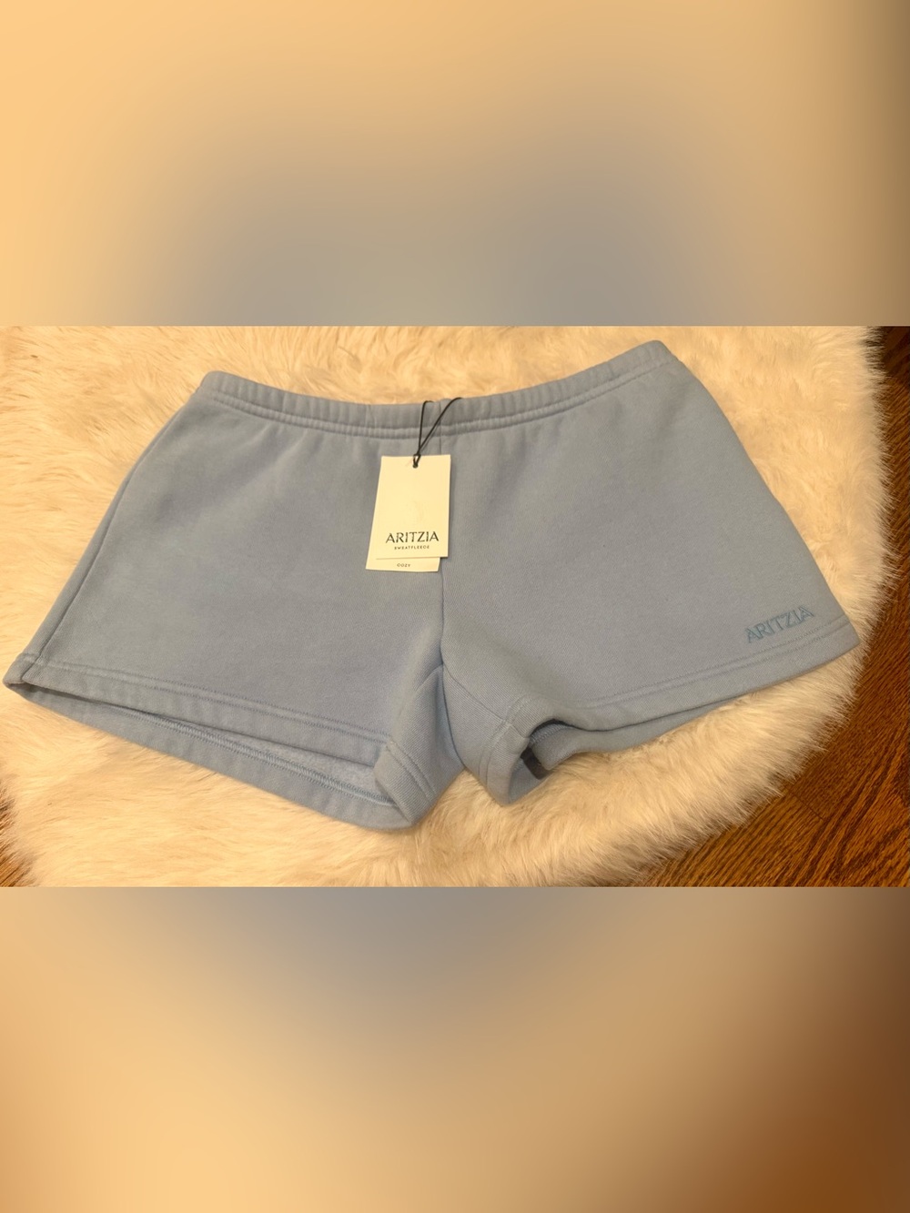 New! Aritzia Light Blue Cozy Sweatfleece Shorts